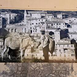 ... prevozno sredstvo nekoč... Koliko konjev ima...