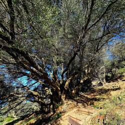 Spet prostorček za počitek, tu naju že pošteno greje sonček...