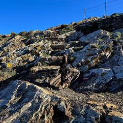 Lepo tlakovana pot, če je mokro mora biti kar spolzka... najdi Robina...