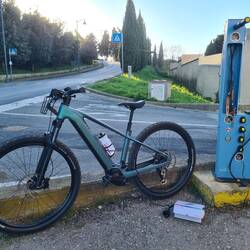 Tonijevo je že polno... moje se še polni...