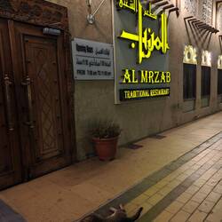 Unscheinbares Äußeres, von der Hauskatze bewacht.