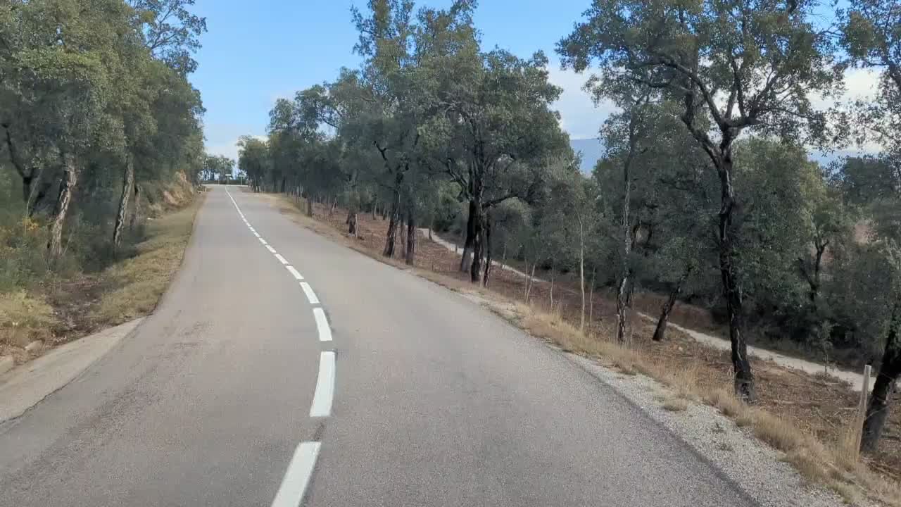 Wälder aus Korkeichen