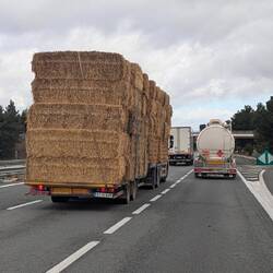 Ui der hat aber gut geladen