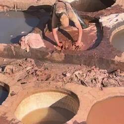 The smells are strong. We here given a sprig of mint to sniff