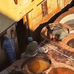 The workers stand in the vats in hip waders