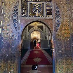 A mosque with a cat greeter