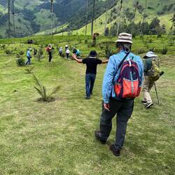 While hiking, someone exclaimed, "Just like Sound of Music, but with palm trees!