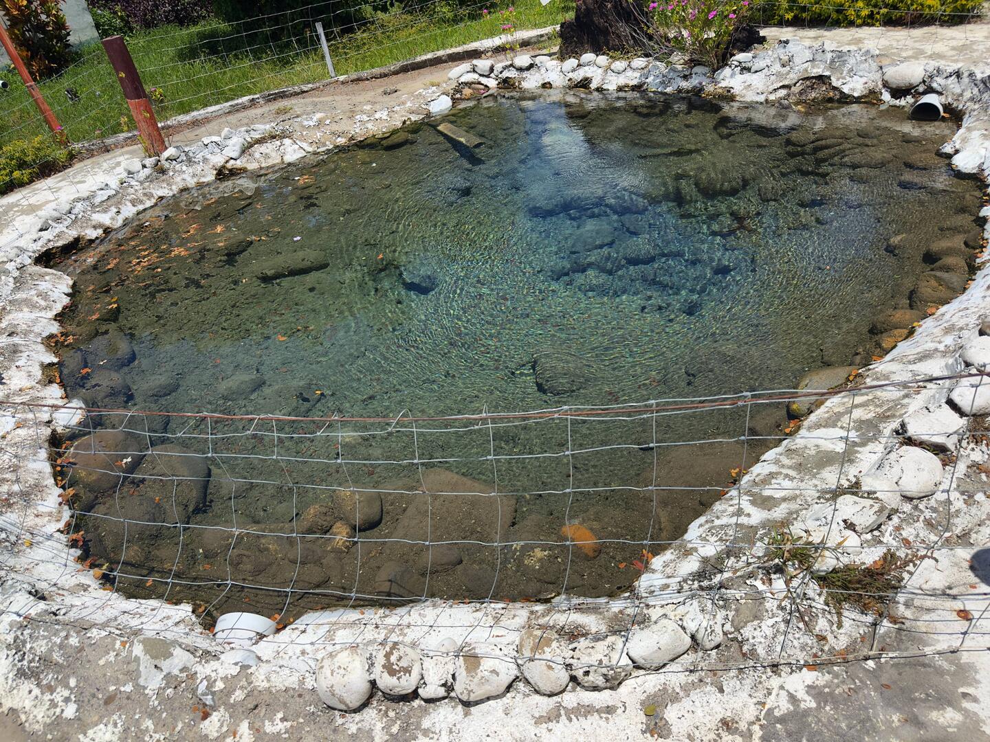 The source spring at Tifajek Mud Pool & Hot Spring.