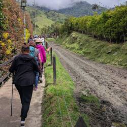 In the park, a section of the Inca Trail which ran from Lima to Cartagena.