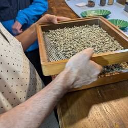 A final sifting to remove impurities and undersized beans