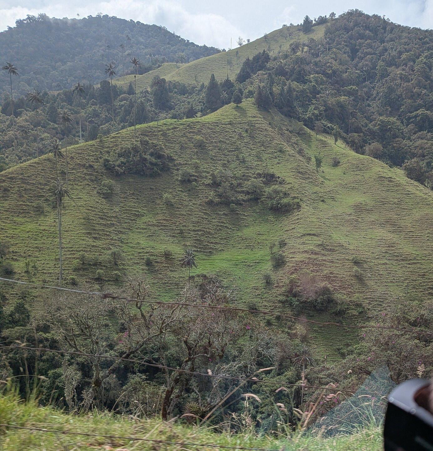 The hills are terraced left from the indigenous who grew maize. Locals grew potato but now too warm