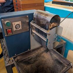 Removing the parchment from the washed beans