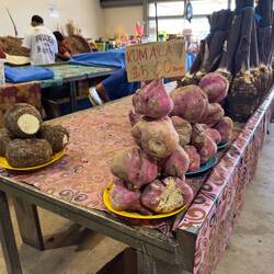 Nadi Farmers Market.
