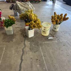 Nadi Farmers Market.