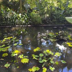 Garden of the Sleeping Giant.
