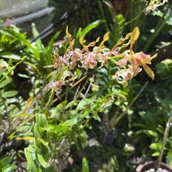 Garden of the Sleeping Giant.