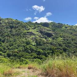 Garden of the Sleeping Giant.