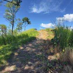 Garden of the Sleeping Giant.