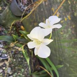 Garden of the Sleeping Giant.