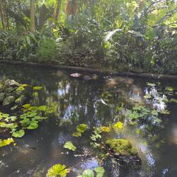 Garden of the Sleeping Giant.