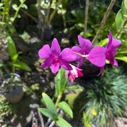 Garden of the Sleeping Giant.