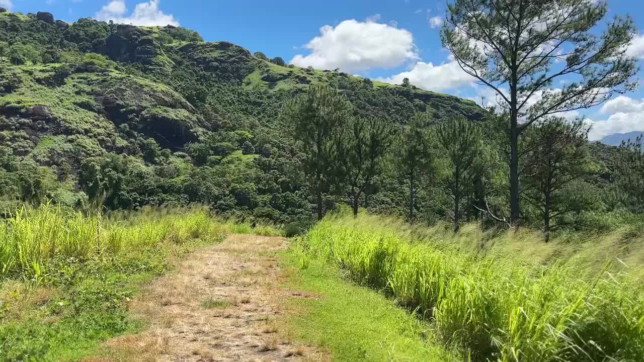 My view of Nadi and the surrounding islands from the hill above the gardens.