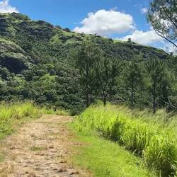 My view of Nadi and the surrounding islands from the hill above the gardens.