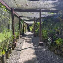 Garden of the Sleeping Giant.