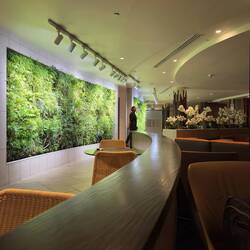 Fiji Airways Premier Lounge.