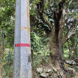 Andere Franken waren schon hier