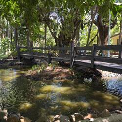 Lautoka Botanical Garden.