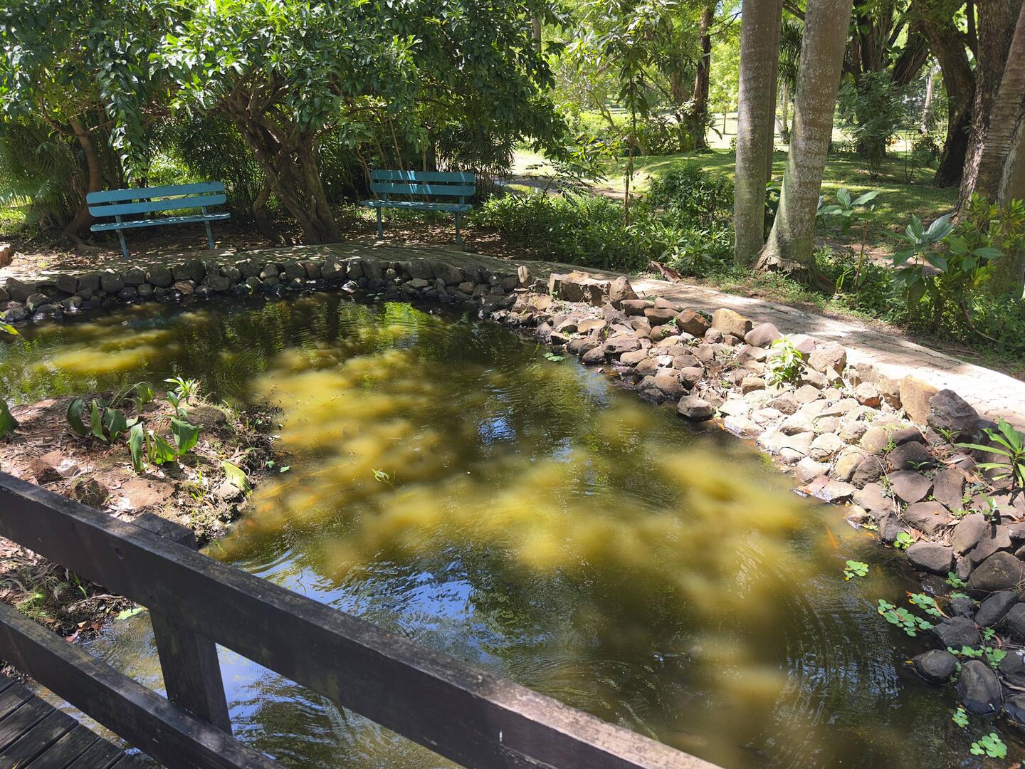 Lautoka Botanical Garden.