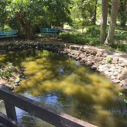 Lautoka Botanical Garden.