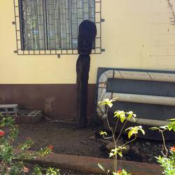 Lautoka Botanical Garden.