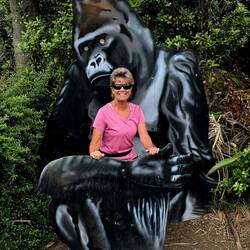 Gorilla photo op at the mini-golf course