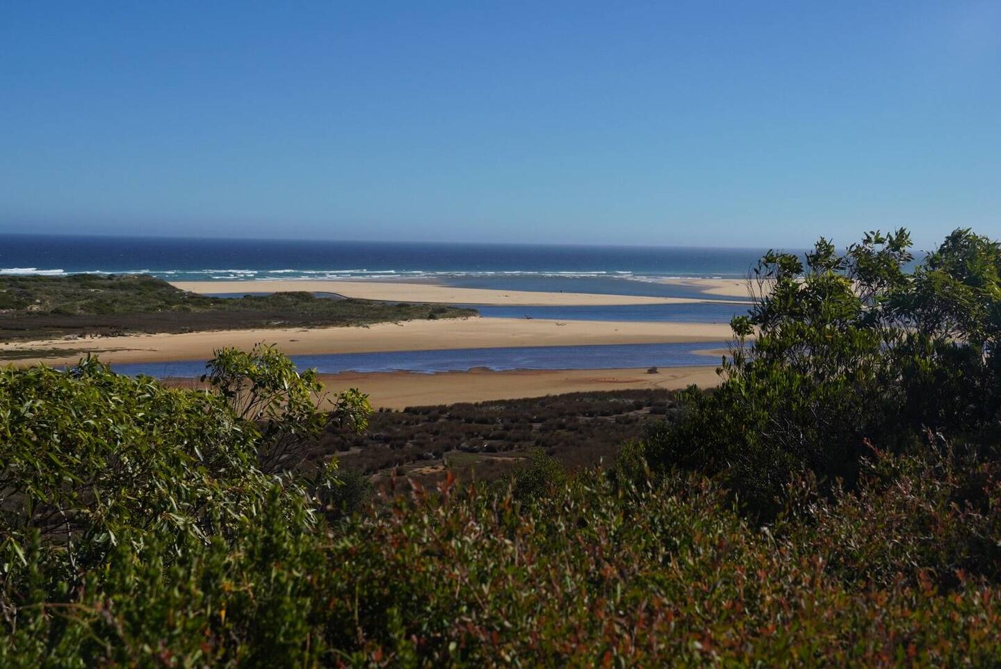 Marlo mit Snowy River