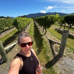 Vines as far as the eye can see