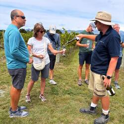 Drinking the wine after tasting the grape