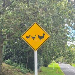 Keine Lamas mehr auf den Schildern