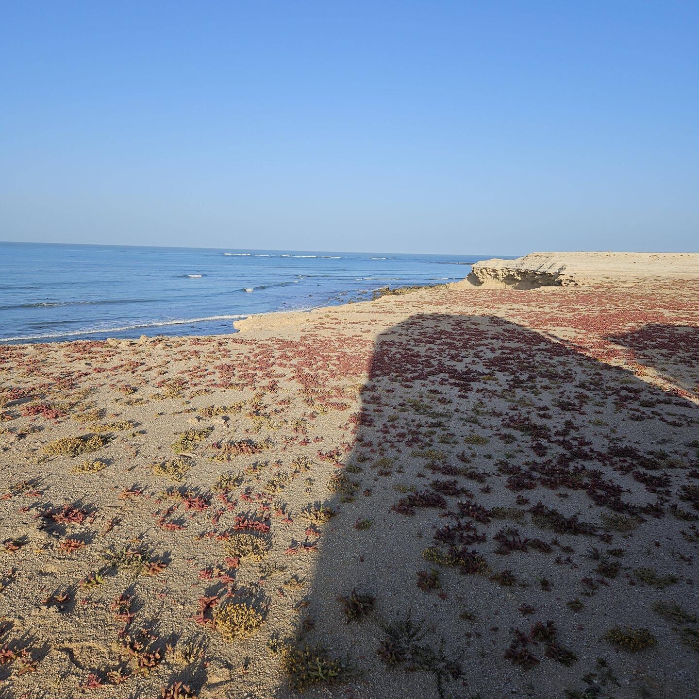 Aussicht am Morgen bei Ebbe