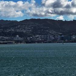 Erster Blick auf Wellington
