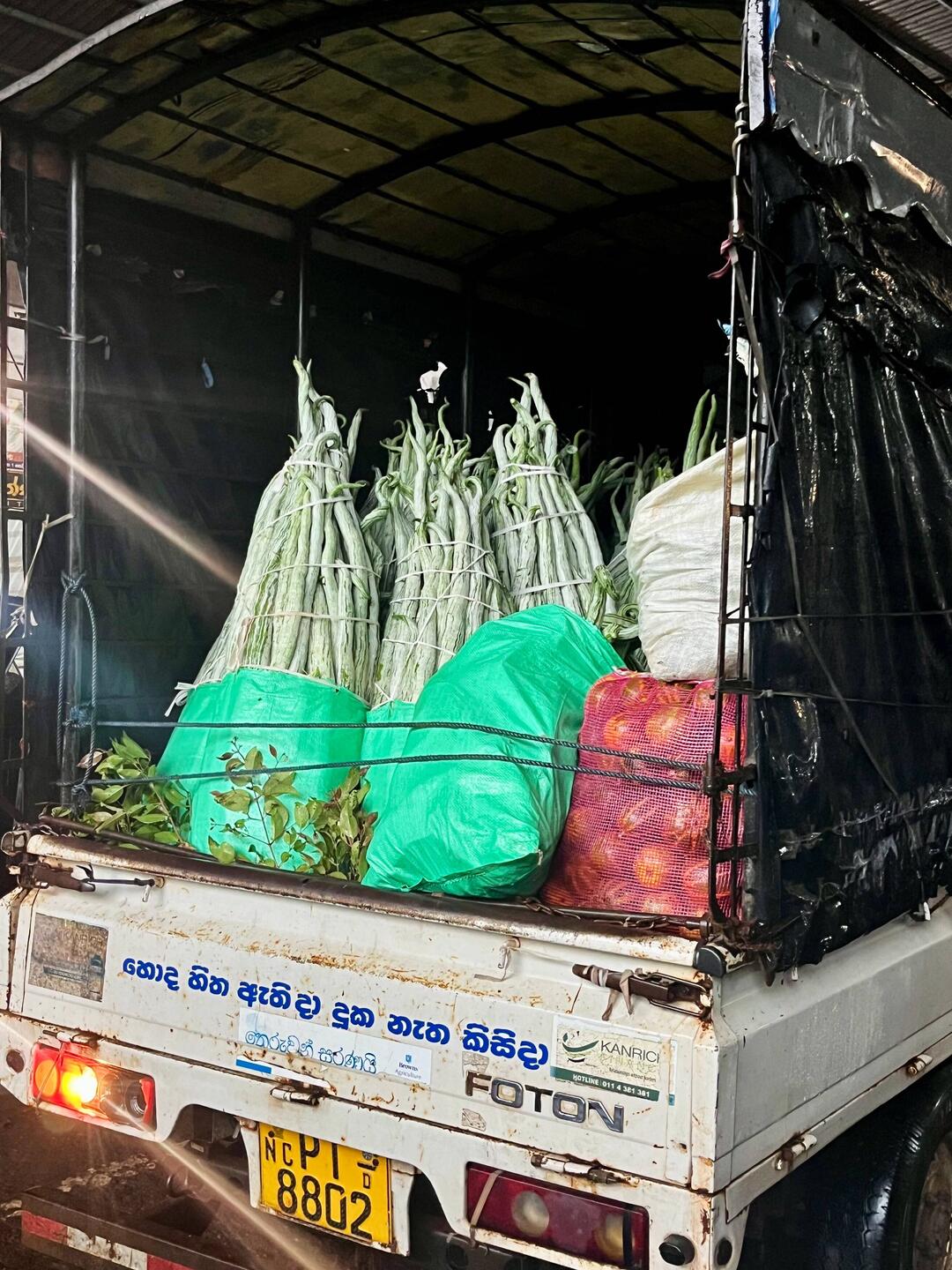 Yardlong Beans / Schlangenbohnen