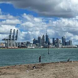 Auckland Downtown von Devonport aus