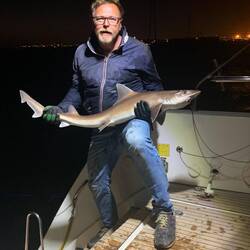 Auch dieser Sandhai durfte wieder ins Wasser