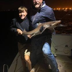 Ist schon ein imposantes Tier