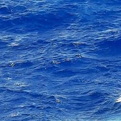 Ich werde dieses Blau vermissen!!!