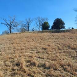 Die Batterie von unten kaum auszumachen.