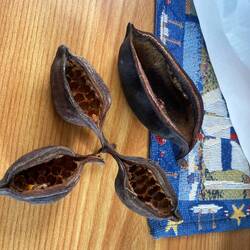 Sammeln musste natürlich auch sein