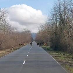 Tagsdarauf geht's weiter nach Tiflis.