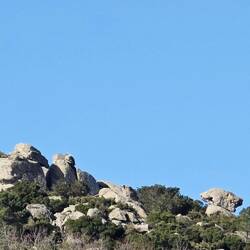 Orel in hrošč... poišči ju...